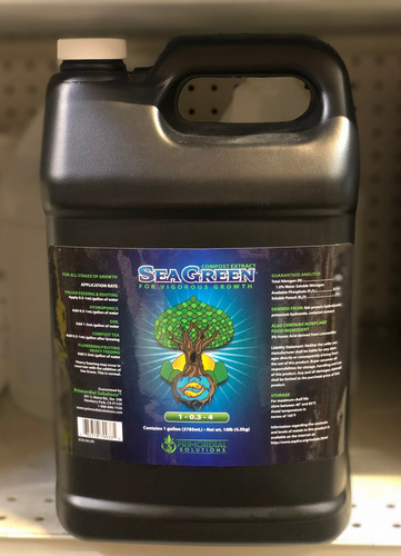 Primordial solutions sea green - solutions,